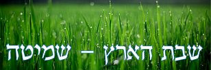 שמיטה תשפ"ב