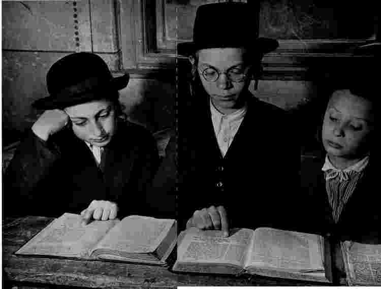 torah study